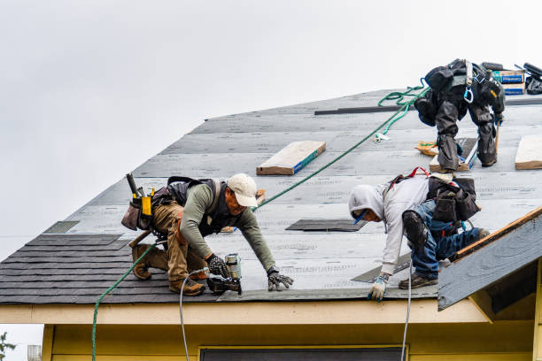 Professional Storm Damage Roof Repair technician working in Frenchtown, NJ